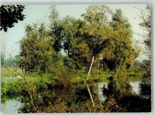 Valkenswaard 1978 De Malpie