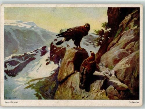 Steinadler sign. Hans Schmidt Nr. I/111