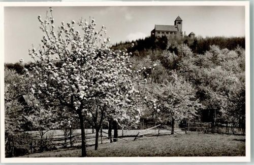Weinheim WSC Wachenburg