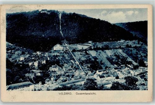 Bad Wildbad 1920 Tagsestempel Wildbader Blumentag 18.07.