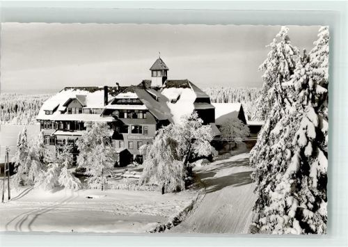 Kniebis Kurhotel Kniebis-Lamm Winter
