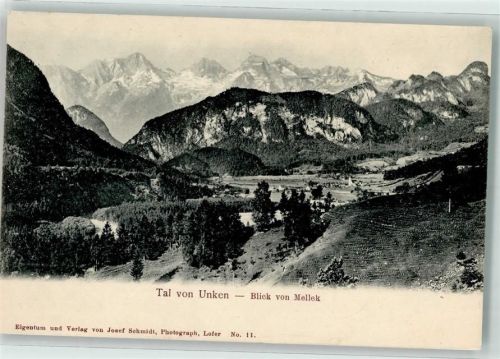 Unken 1908
