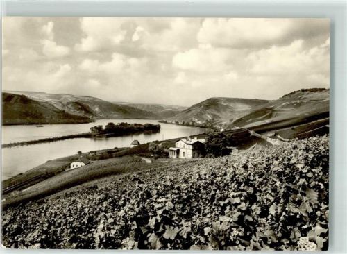 Lorch 1964 Weingut Troitzsch/Erben