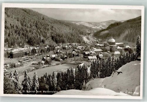 St. Blasien mit Dom und Kloster Foto Rogg Nr. 5B