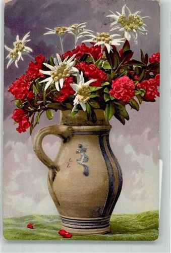 1912 Vase Nelken Photochromie Serie 508 Nr.725
