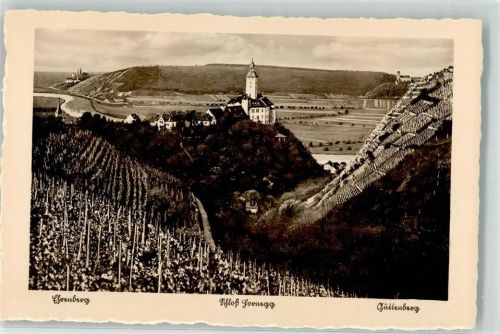 Gundelsheim Schloss Hornegg Burg Guttenberg Burg Hornberg