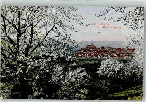 Weinsberg 1908 Blütenschmuck