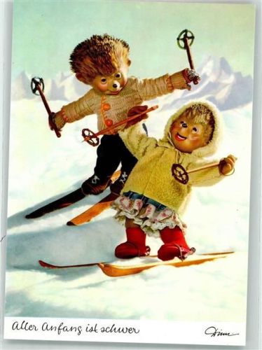 Aller Anfang ist schwer Igelkinder straucheln beim Skifahren Diehl-Film Nr.329