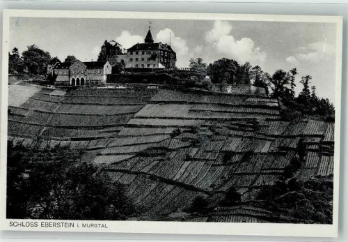 Gernsbach Foto Metz Foto AK Schloss Eberstein