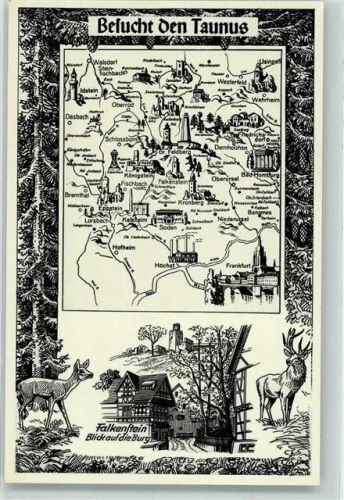 Falkenstein Besucht den Taunus Burg Kulturgut Schönheiten im Taunus Hirsch Reh