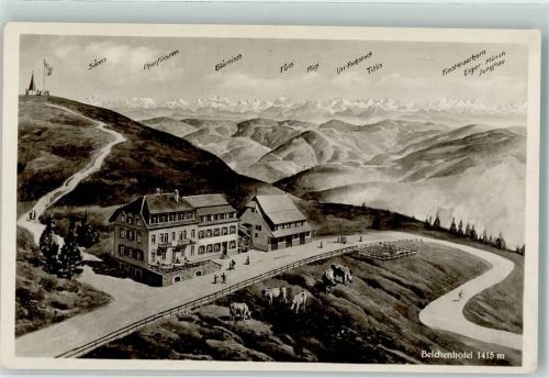 Belchen Hotel Belchen Kühe Säntis Churfirsten Tödi Rigi Uri-Rothstock Eiger Mönch Jungfrau Posthilfsstelle