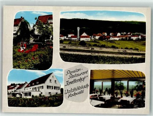 Waldhölzbach Pension Gasthaus Forellenhof