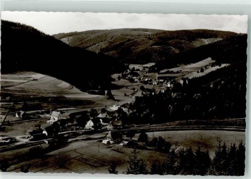 Hammereisenbach Foto Metz