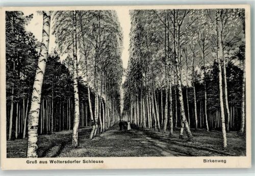 Woltersdorf Birkenweg Wolterdorfer Schleuse