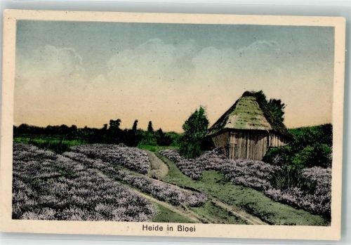 Apeldoorn Heide in Bloei Ort lt. Recherche