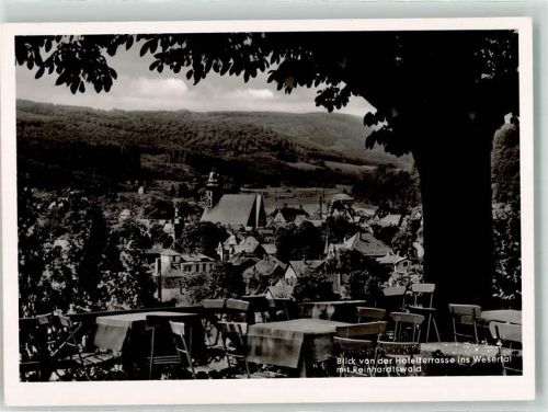 Hann. Münden Blick von der Hotelterrasse ins Wesertal m. Reinhardswald