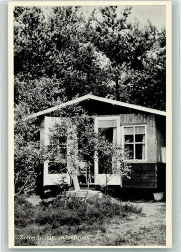 3956 Leersum Foto AK Sommerhaus Alpenrose Gasthaus Ort lt. Verlag