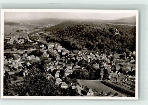 Landstuhl Burg Sickingen Vogelschau