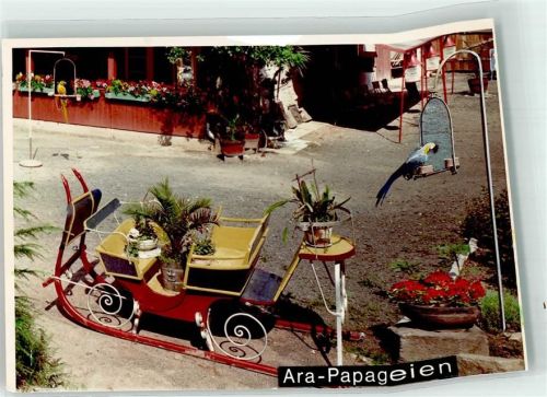 Laubach Foto Original aus Archiv eines Ansichtskartenverlags Märchen Zoo Ara Schlitten Ort handschriftlich Scan verzogen