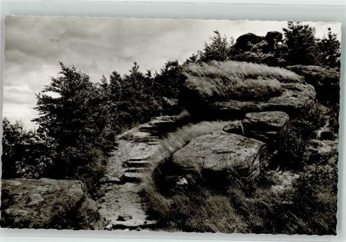 Waldfischbach-Burgalben Foto Metz Am Galgenfelsen