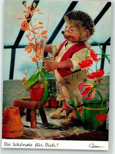 Die Schönste für Dich Mecki bei der Blumenpflege Diehl-Film Nr.407