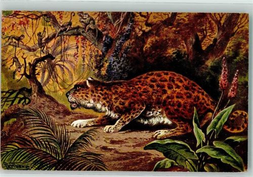 Leopard Affen Serie 562 Fauna Nr. 3