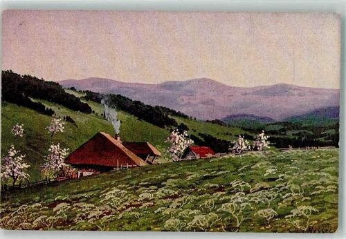 sign. Nessel Ein einsamer Schwarzwaldhof in frühlingshafter Landschaft Verlag Geschwister Moos Serie V No. 12