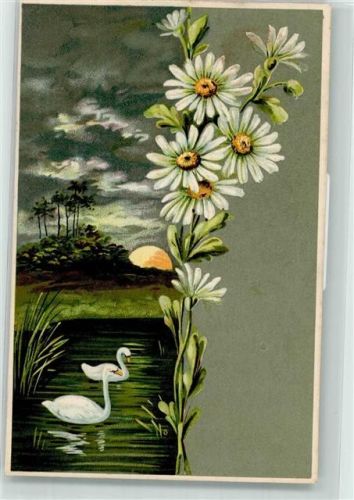 1907 Margeriten Mondschein