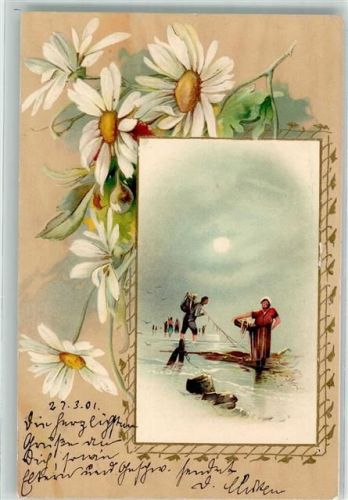 1901 Margeriten Passepartout Lithographie