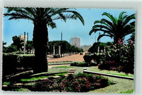 Casablanca Boulevard Moulay Youssef Palmen Blumen Auto Straße