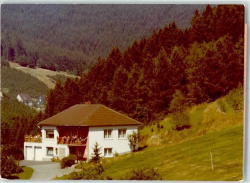 Feudingen Pension Neuser Foto Original aus Archiv eines Ansichtskartenverlags
