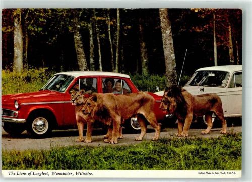 Autos Longleat Park Warminster Wiltshire