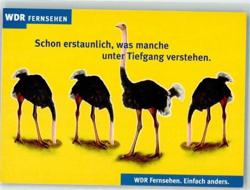 WDR Fernsehen Strauß