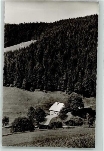 Furtwangen Foto Metz Gasthaus zur Birke