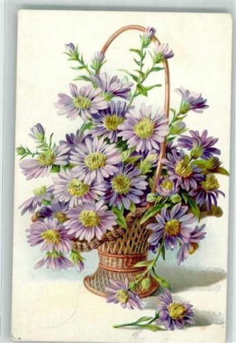 1906 Herbstastern Korb Lithographie