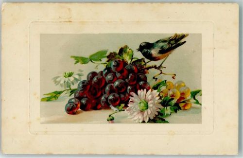 1903 Trauben Blumen Vogel Trade Kopal Mark Nr.1104