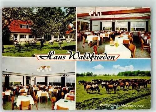 Dülmen 1974 Gasthaus Waldfrieden
