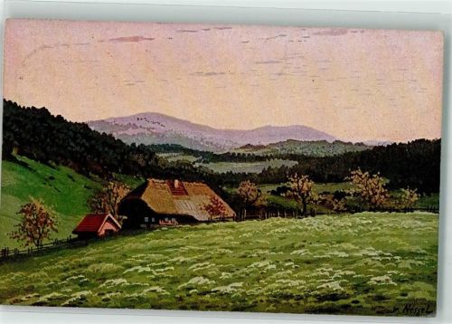 1917 Ein einsamer Schwarzwaldhof im Tal vor dem sich rötlich verfärbenden Himmel Verlag Geschwister Moos Serie VI No. 17