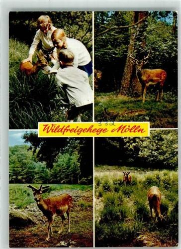 Mölln Wildfreigehege