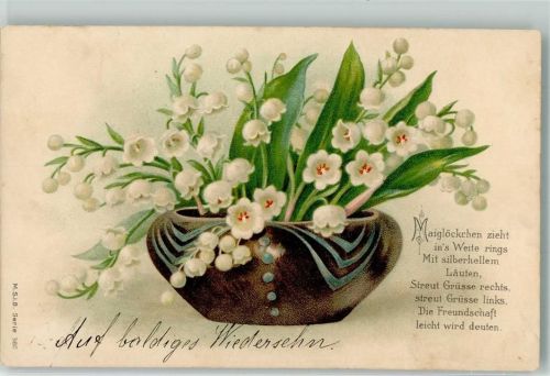 1908 Spruch M.S.i.B. Nr.380