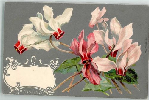 1904