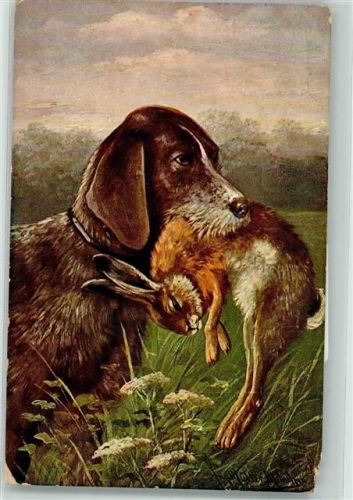 1915 Ein Hund mit einen erlegten Hasen im Maul Maschinenstempel