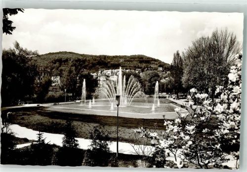 Bad Kissingen Rosengarten