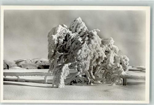 Oberried Winter Hotel Halde am Schauinsland