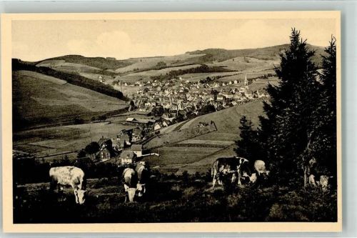 Furtwangen Foto Metz Kühe