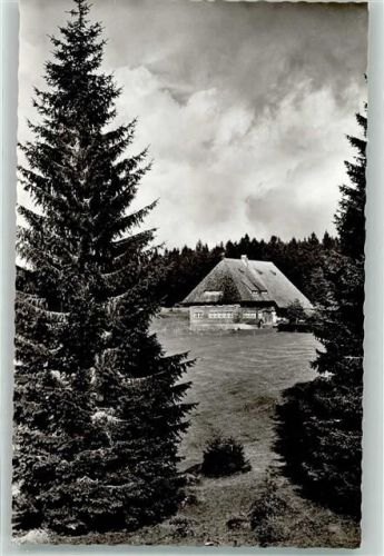 Furtwangen Foto Metz Höhengasthaus Martinskapelle