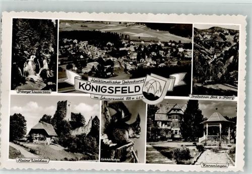 Königsfeld Triberger Wasserfälle Ruine Waldau Eichhörnchen Kuranlagen Foto Original aus Archiv eines Ansichtskartenverlags