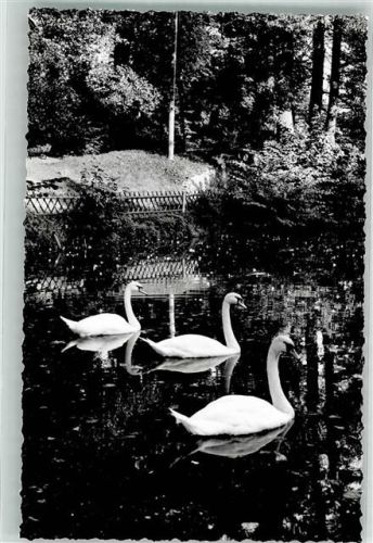 Thurnau Schwanenweiher Foto Original aus Archiv eines Ansichtskartenverlags Ort handschriftlich