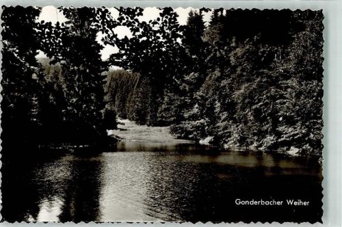 Bad Laasphe Gonderbacher Weiher