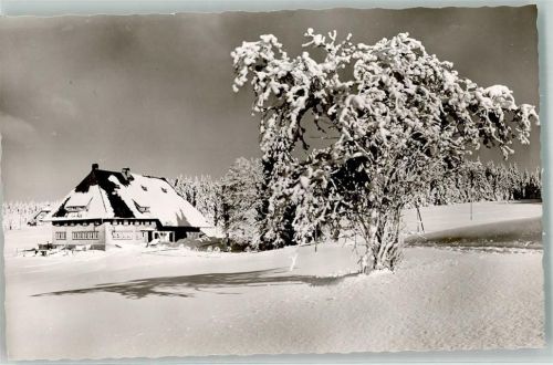 Furtwangen Foto Metz Winter Höhengasthaus Martinskapelle Hüttenstempel